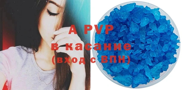 эйфоретик Богданович
