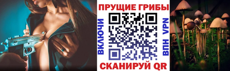 Псилоцибиновые грибы GOLDEN TEACHER  shop официальный сайт  Микунь  кракен ссылки 